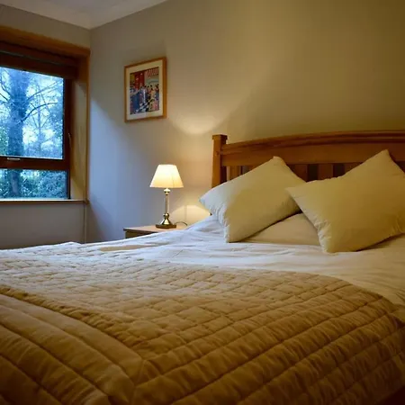 Cozy Ballsbridge Apartment Dublin